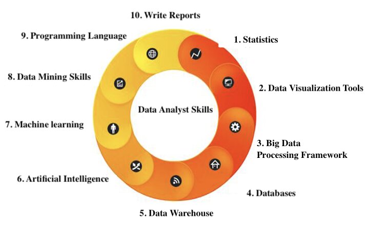 data analyst