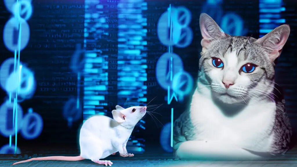 Cat-and-mouse-game