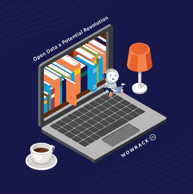 Open Data a Quick Look into a Potential Revolution