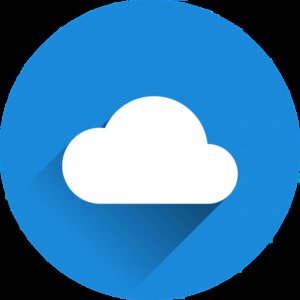 On Prem Storage vs. Offsite Private Cloud Storage