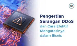 apa itu DDoS