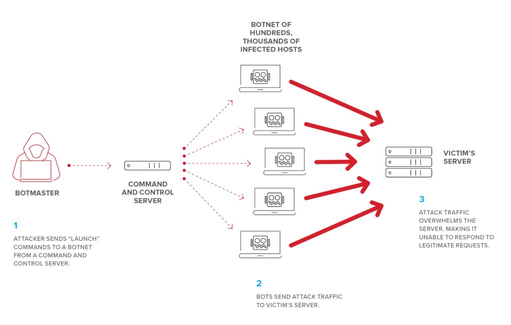 proses DDoS