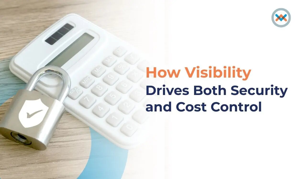 How Visibility Drives Both Security and Cost Control