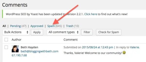 contoh spam komentar website