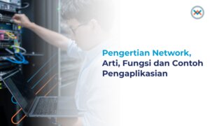 apa itu network