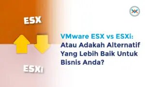 VMware ESX vs ESXi: Atau Adakah Alternatif yang Lebih Baik Untuk Bisnis Anda?