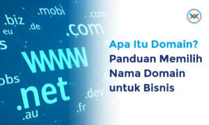apa itu domain dan fungsinya dan cara memilih nama domain