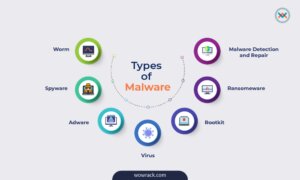 Grafis yang menunjukan beberapa tipe malware yang umum